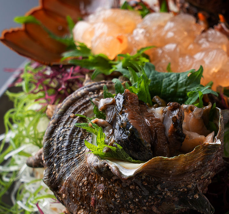 お料理メニューイメージ