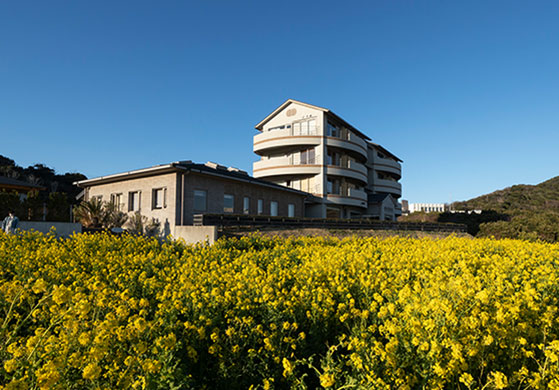 写真：周辺の観光地